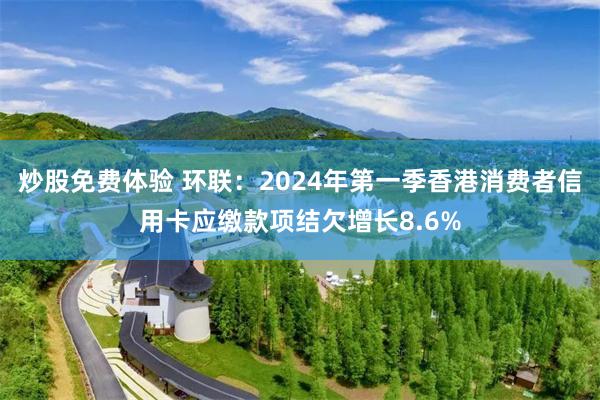 炒股免费体验 环联：2024年第一季香港消费者信用卡应缴款项结欠增长8.6%