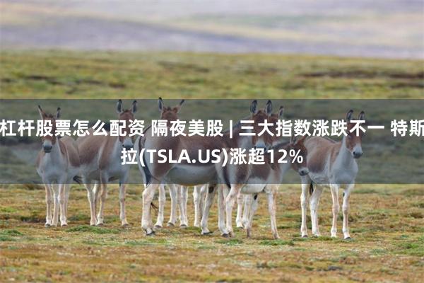 杠杆股票怎么配资 隔夜美股 | 三大指数涨跌不一 特斯拉(TSLA.US)涨超12%