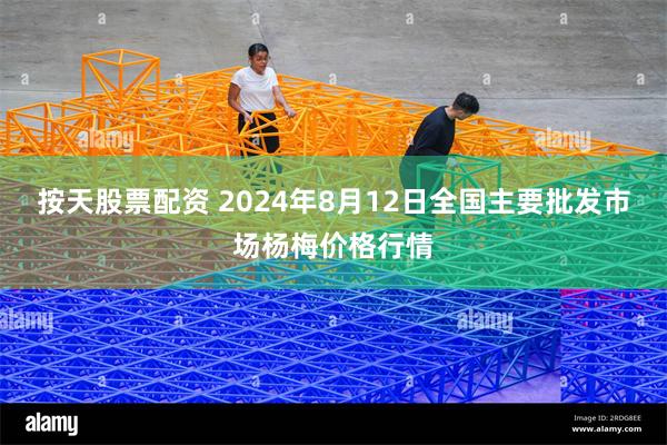 按天股票配资 2024年8月12日全国主要批发市场杨梅价格行情