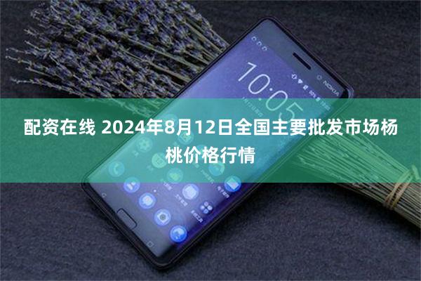 配资在线 2024年8月12日全国主要批发市场杨桃价格行情