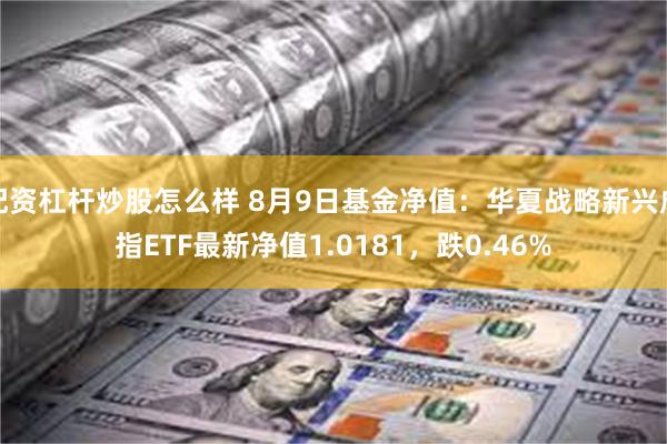 配资杠杆炒股怎么样 8月9日基金净值：华夏战略新兴成指ETF最新净值1.0181，跌0.46%