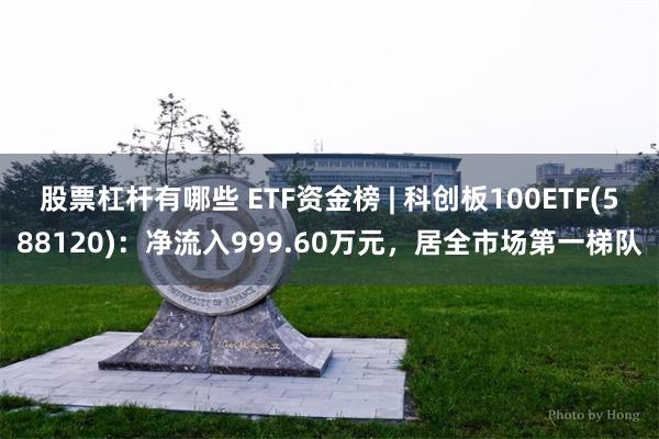 股票杠杆有哪些 ETF资金榜 | 科创板100ETF(588120)：净流入999.60万元，居全市场第一梯队