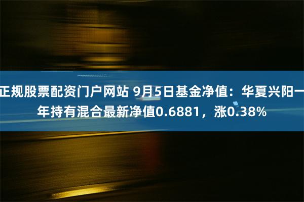 正规股票配资门户网站 9月5日基金净值：华夏兴阳一年持有混合最新净值0.6881，涨0.38%