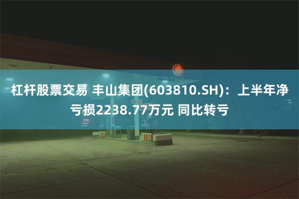 杠杆股票交易 丰山集团(603810.SH)：上半年净亏损2238.77万元 同比转亏