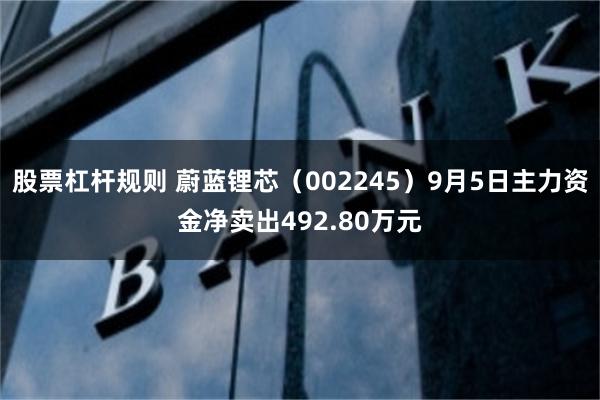 股票杠杆规则 蔚蓝锂芯（002245）9月5日主力资金净卖出492.80万元