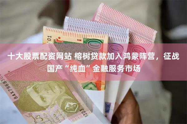 十大股票配资网站 榕树贷款加入鸿蒙阵营，征战国产“纯血”金融服务市场