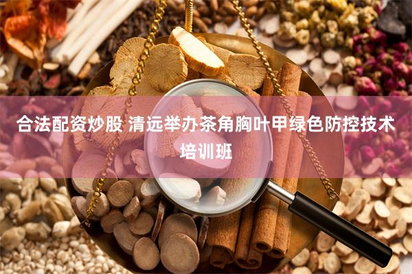 合法配资炒股 清远举办茶角胸叶甲绿色防控技术培训班