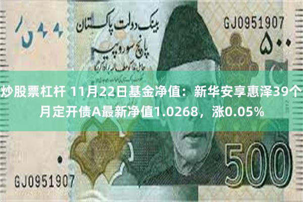 炒股票杠杆 11月22日基金净值：新华安享惠泽39个月定开债A最新净值1.0268，涨0.05%