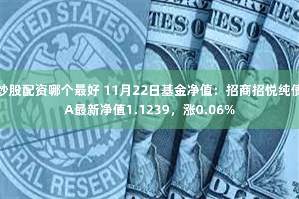 炒股配资哪个最好 11月22日基金净值：招商招悦纯债A最新净值1.1239，涨0.06%