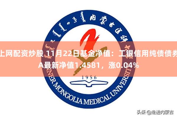 上网配资炒股 11月22日基金净值：工银信用纯债债券A最新净值1.4581，涨0.04%