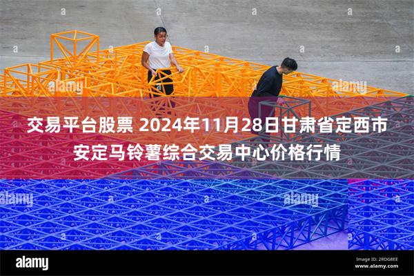 交易平台股票 2024年11月28日甘肃省定西市安定马铃薯综合交易中心价格行情