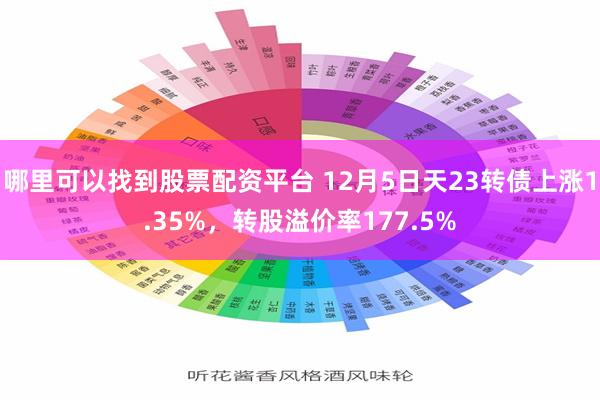 哪里可以找到股票配资平台 12月5日天23转债上涨1.35%，转股溢价率177.5%