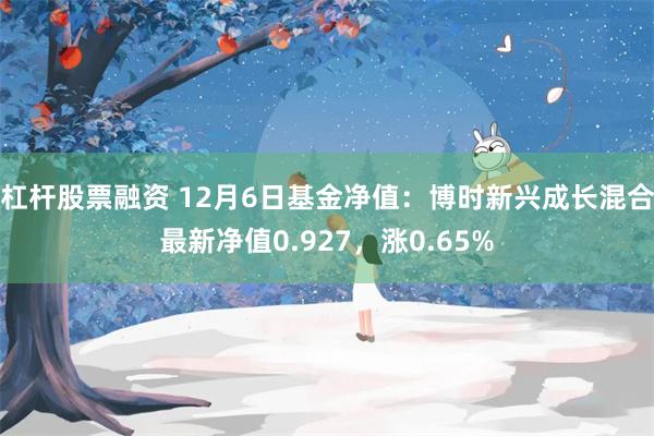 杠杆股票融资 12月6日基金净值：博时新兴成长混合最新净值0.927，涨0.65%