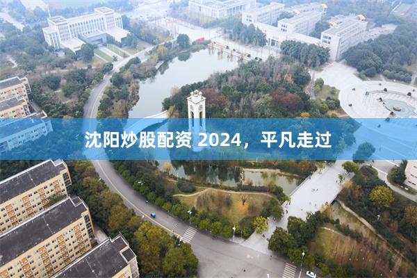 沈阳炒股配资 2024，平凡走过