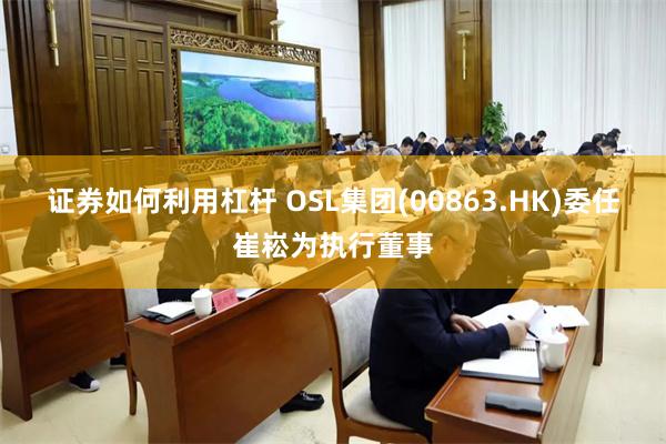 证券如何利用杠杆 OSL集团(00863.HK)委任崔崧为执行董事