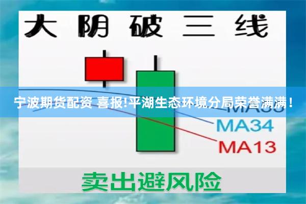 宁波期货配资 喜报!平湖生态环境分局荣誉满满！