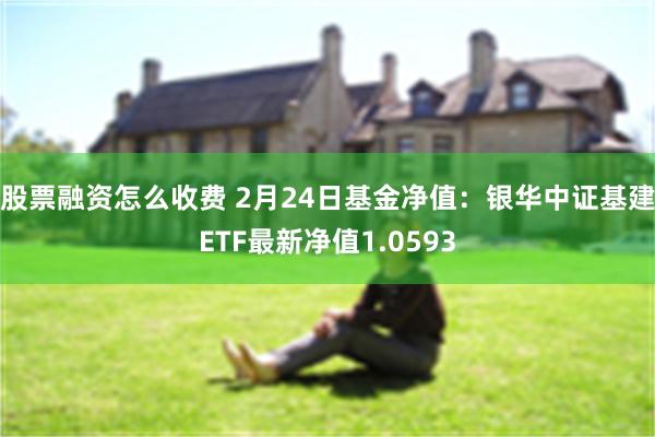 股票融资怎么收费 2月24日基金净值：银华中证基建ETF最新净值1.0593