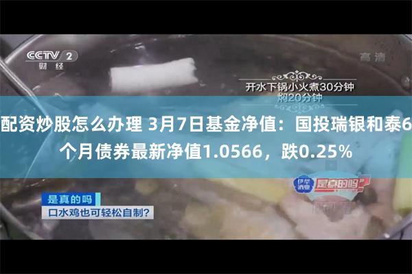 配资炒股怎么办理 3月7日基金净值：国投瑞银和泰6个月债券最新净值1.0566，跌0.25%