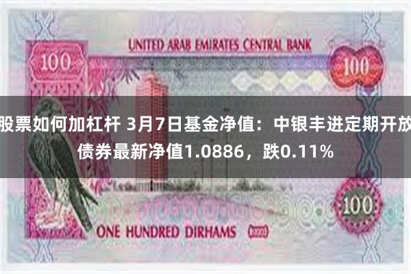 股票如何加杠杆 3月7日基金净值：中银丰进定期开放债券最新净值1.0886，跌0.11%